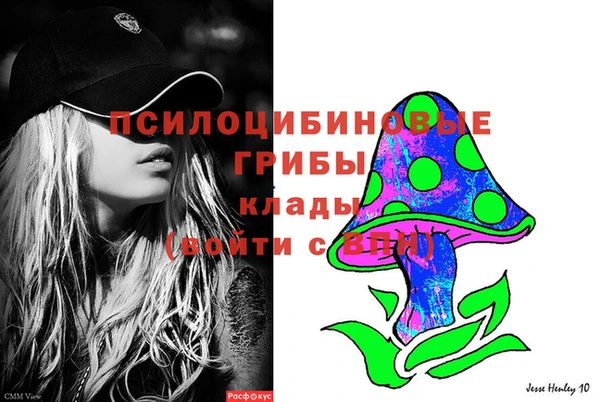сатива Алзамай