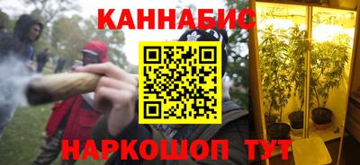 индика Можайск
