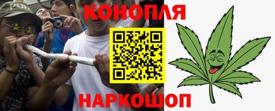 индика Можайск