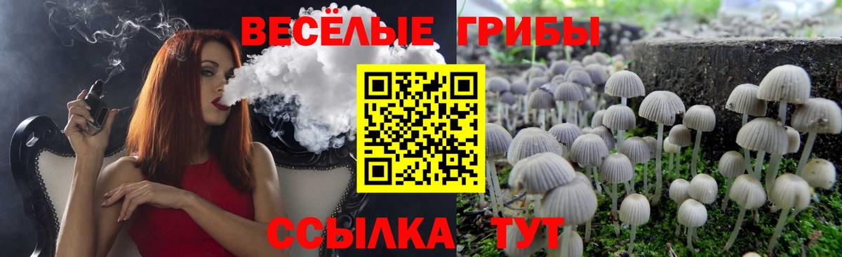 Псилоцибиновые грибы MAGIC MUSHROOMS  Вход с VPN  Тосно 